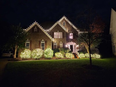 Bush and roofline installation